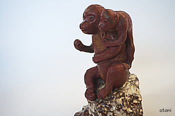 親子仲良くです