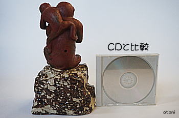 猿とCD比較