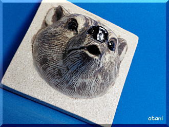 ���򂨕��C�p���N�}�֌�����