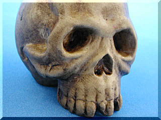 信楽焼き骸骨（頭蓋骨）置物