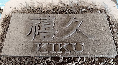 KIKUl