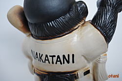 wɖNAKATANI