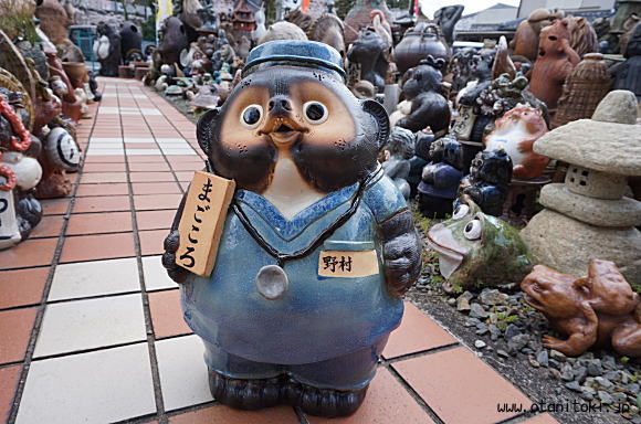 OȎp搶̊g摜