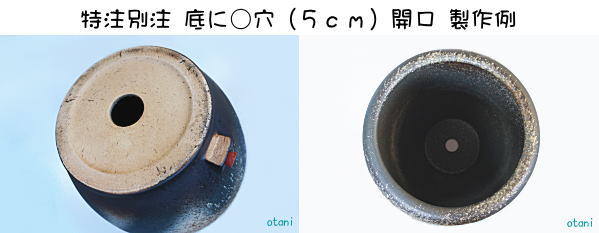 特注水瓶底部分○穴開口（５ｃｍ）製作例